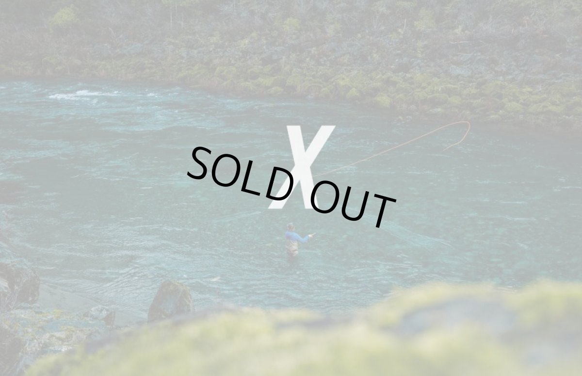 画像7: SAGE　セージ　X SPEY (7)