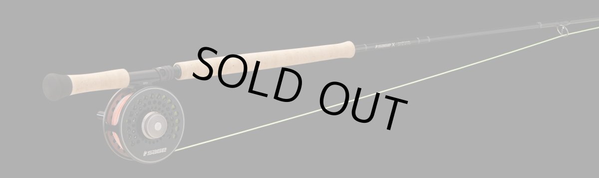 画像6: SAGE　セージ　X SPEY (6)