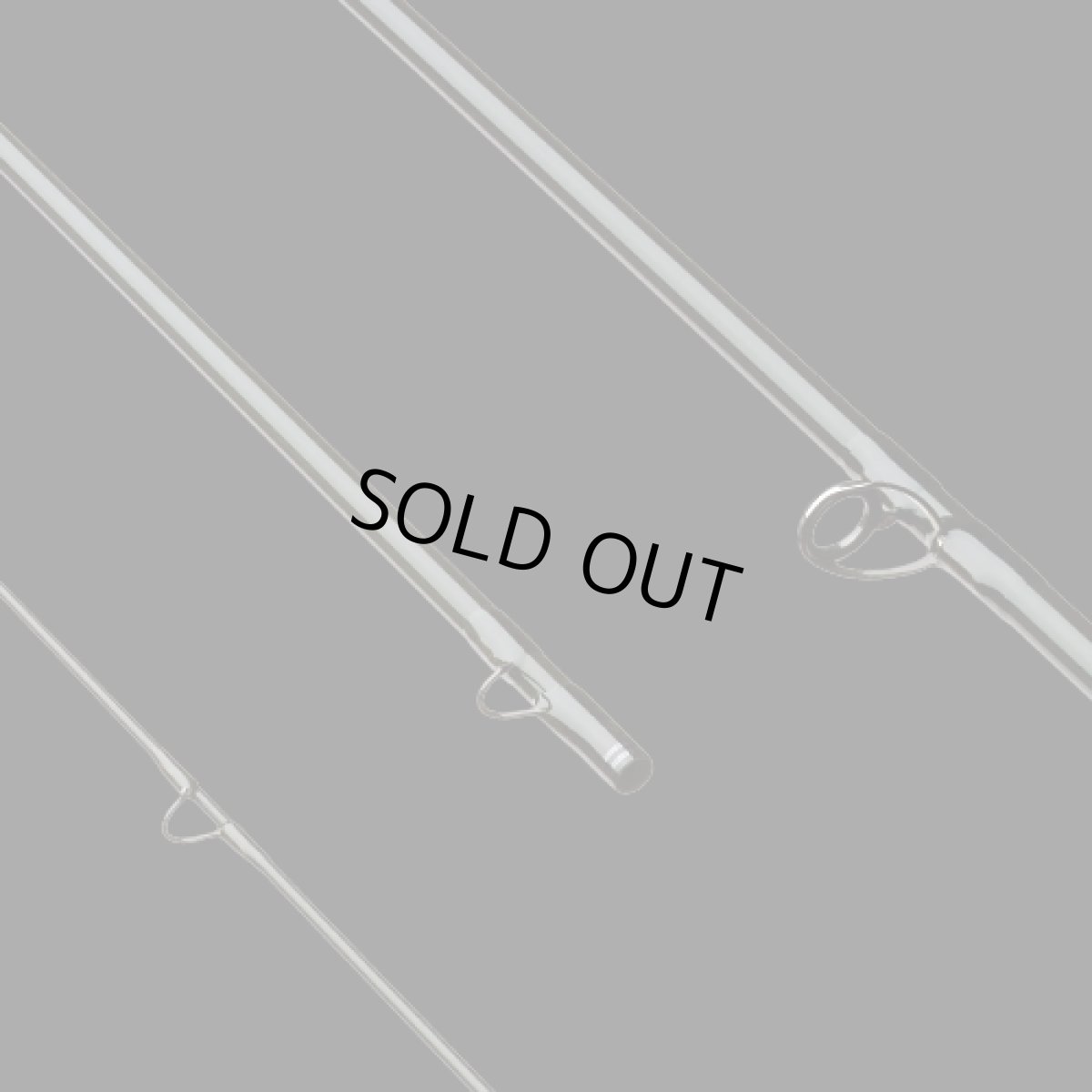 画像5: SAGE　セージ　X SPEY (5)