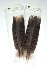 画像1: CANAL  キャナル　カリッジフェザントテール　Kaliji　pheasant　tail (1)