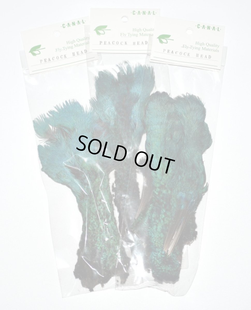画像2: CANAL  キャナル　ピーコックヘッド　Peacock　Haed (2)