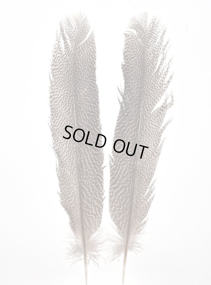 画像3: CANAL  キャナル　カリッジフェザントテール　Kaliji　pheasant　tail (3)