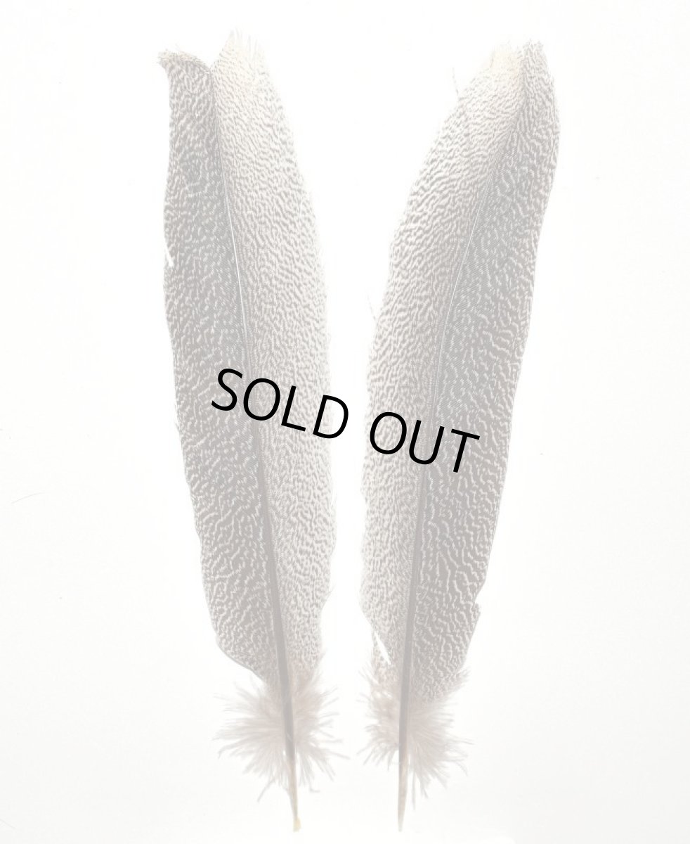 画像2: CANAL  キャナル　カリッジフェザントテール　Kaliji　pheasant　tail (2)