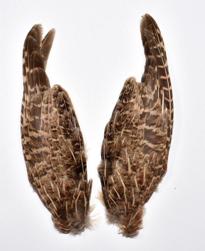 CANAL キャナル パートリッジ ウィング Partridge Wing - 鱒夢