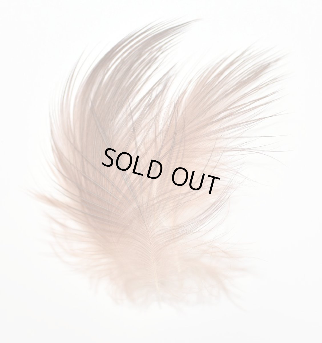 画像2: CANAL　キャナル　レッドヘロン　RED　HERON (2)