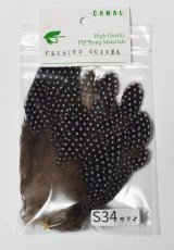 画像9: CANAL  キャナル　クレステッドギニア　パッチ　CRESTED　GUINEA (9)