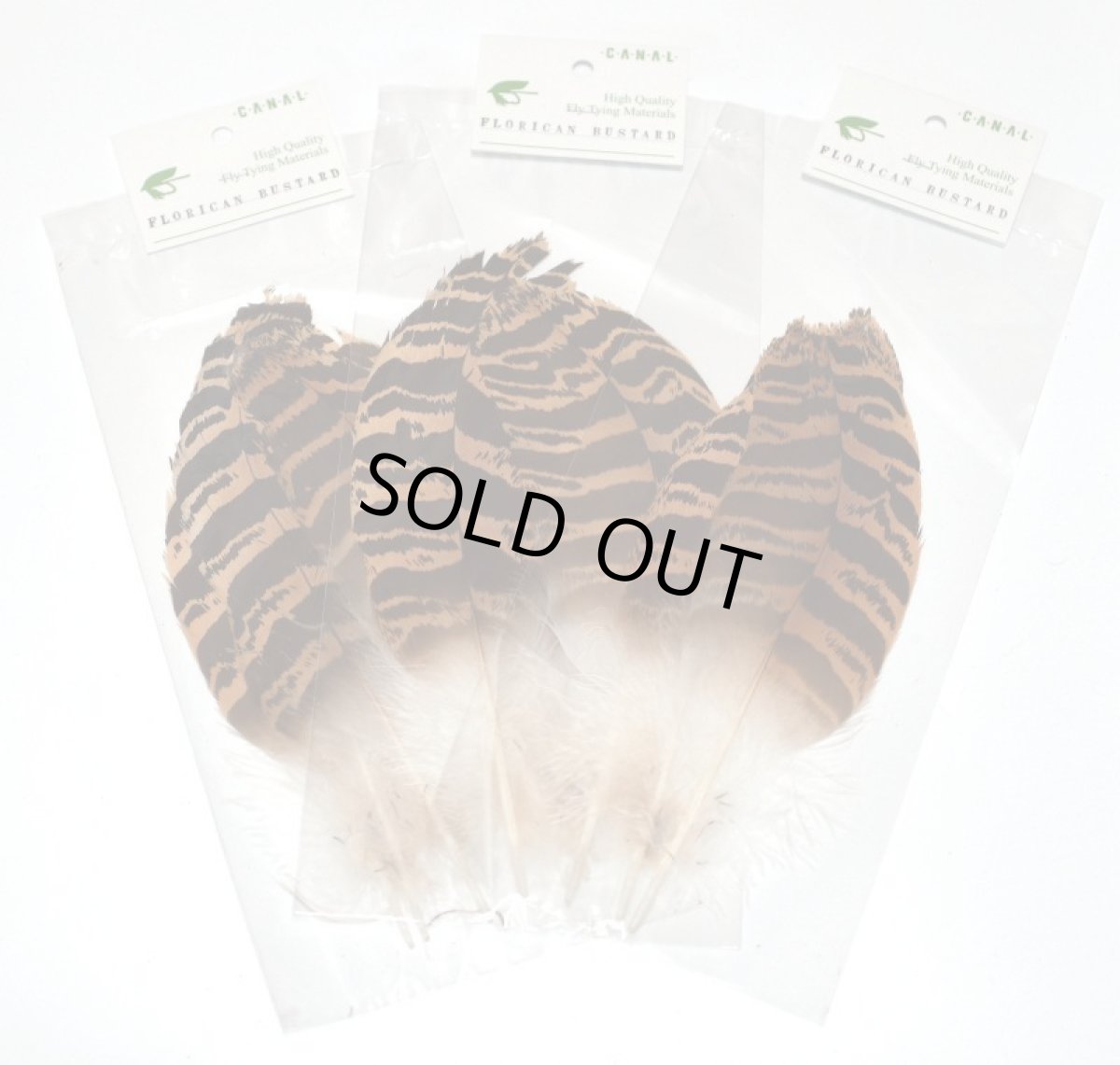 画像1: CANAL  キャナル　フロリカンバスタード　Florican　bustard (1)