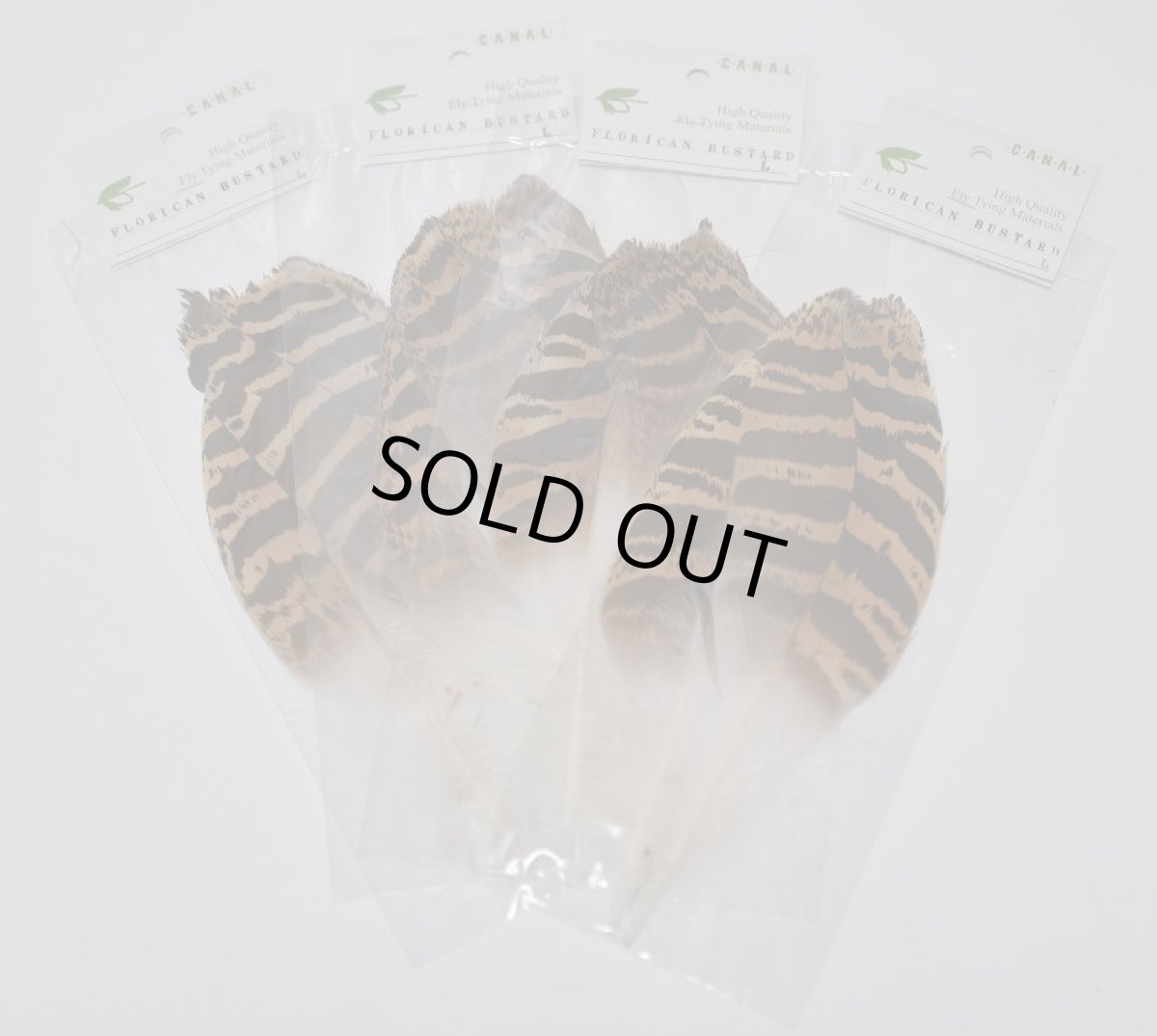 画像6: CANAL  キャナル　フロリカンバスタード　Florican　bustard (6)