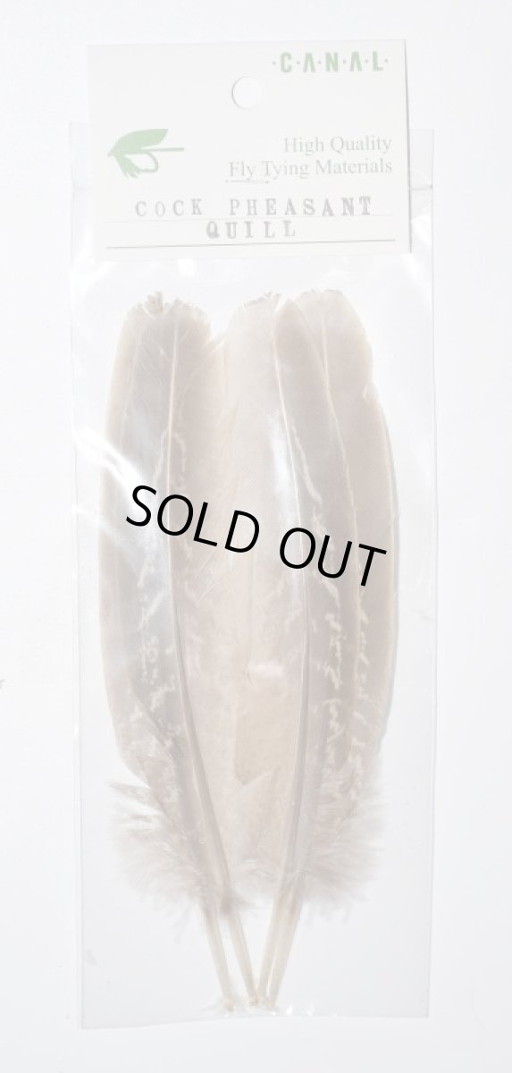 画像2: CANAL  キャナル コックフェザント クイル Cock Pheasant (2)
