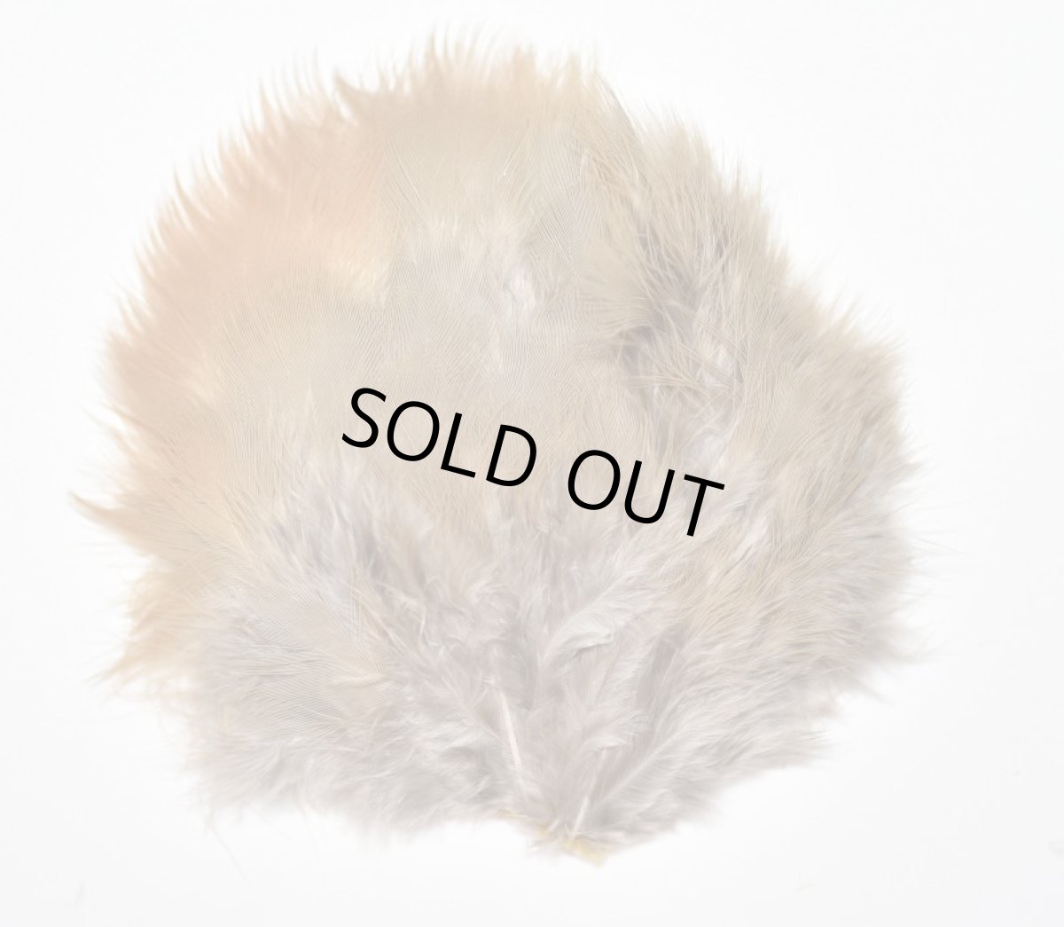 画像2: CANAL  キャナル　フレンチパートリッジ　ランプ　French Partridge Runp (2)