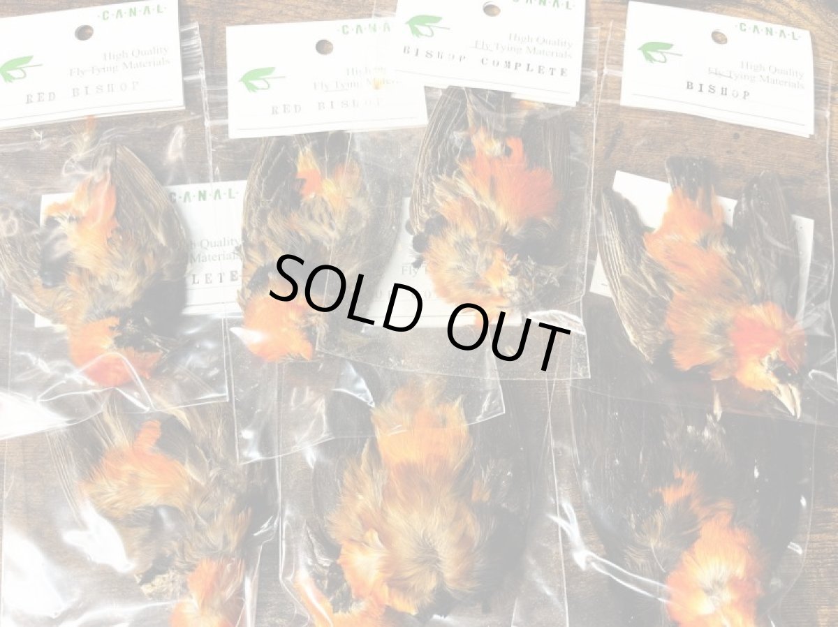 画像2: CANAL  キャナル ビショップコンプリート Bishop complete (2)