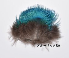 画像1: CANAL  キャナル　ピーコック　ブルーネック　　PEACOCK BLUE　NECK　 (1)