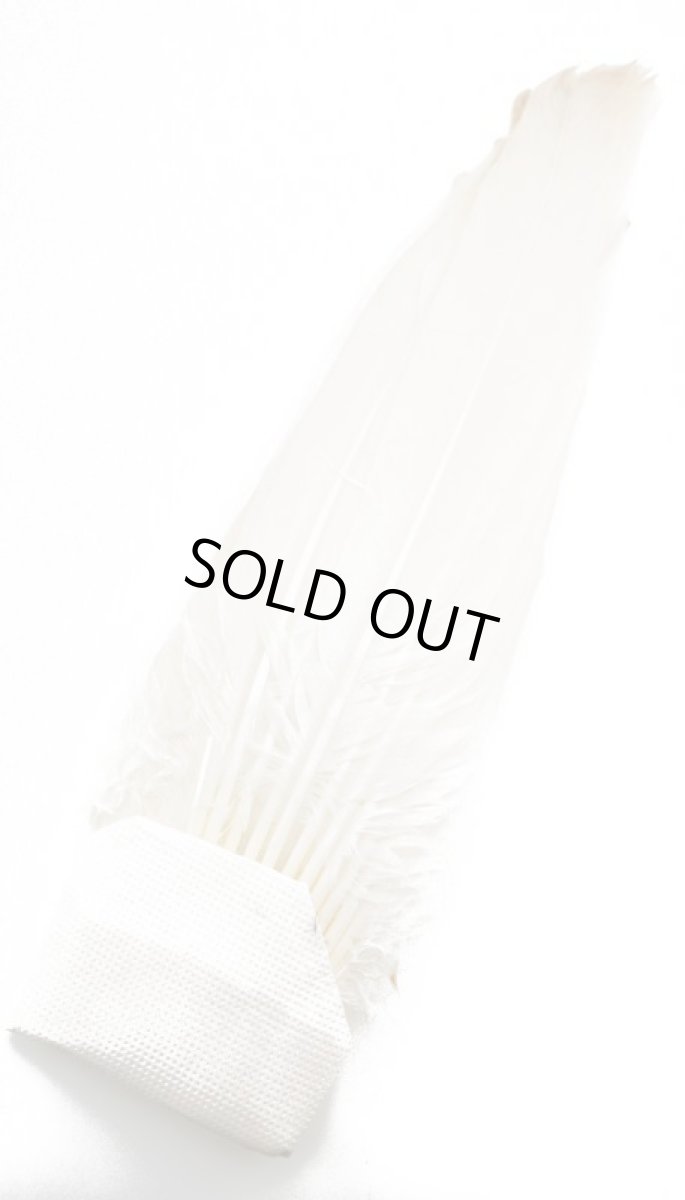 画像1: CANAL  キャナル  WHITE　PEACOCK　TAIL ホワイトピーコックテール (1)