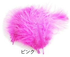 画像4: CANAL  キャナル　SPEY PLUMES スペイプリムス (4)