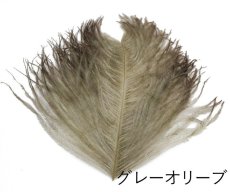 画像1: CANAL  キャナル　クロス　オーストリッチ　CROSS OSTRICH (1)