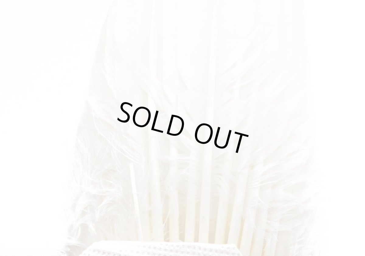 画像2: CANAL  キャナル  WHITE　PEACOCK　TAIL ホワイトピーコックテール (2)