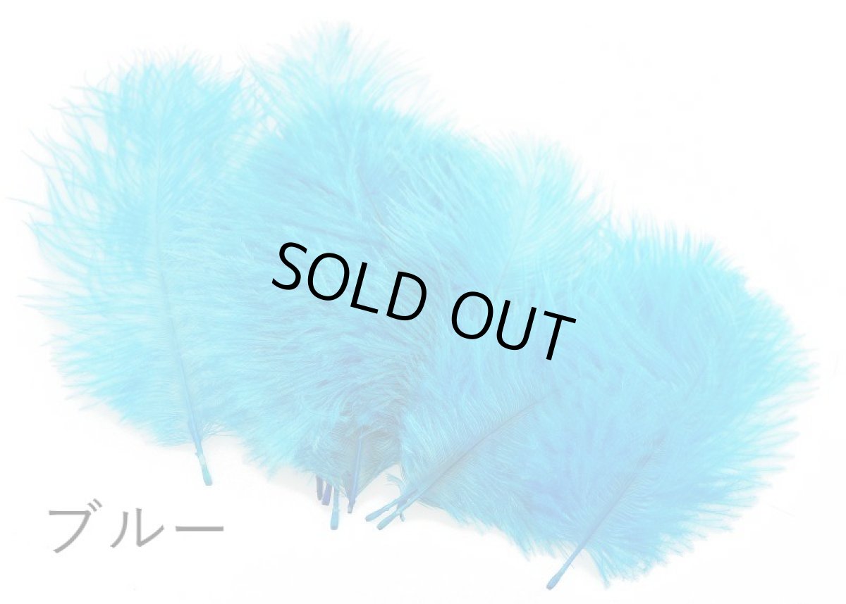 画像2: CANAL  キャナル　SPEY PLUMES スペイプリムス (2)