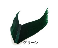 画像3: CANAL キャナル コンドルクイル　Condor Quill (3)