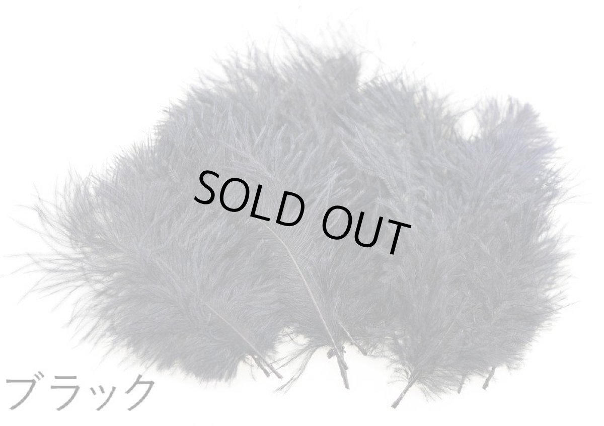 画像3: CANAL  キャナル　SPEY PLUMES スペイプリムス (3)