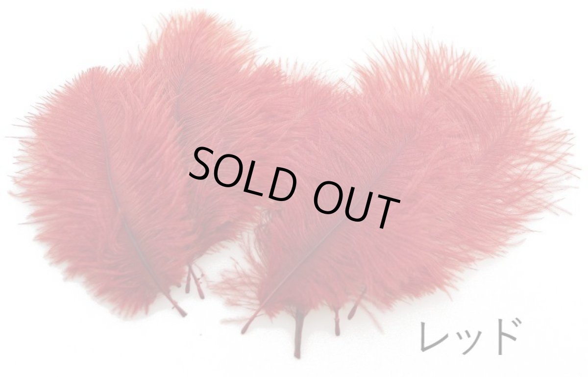 画像1: CANAL  キャナル　SPEY PLUMES スペイプリムス (1)