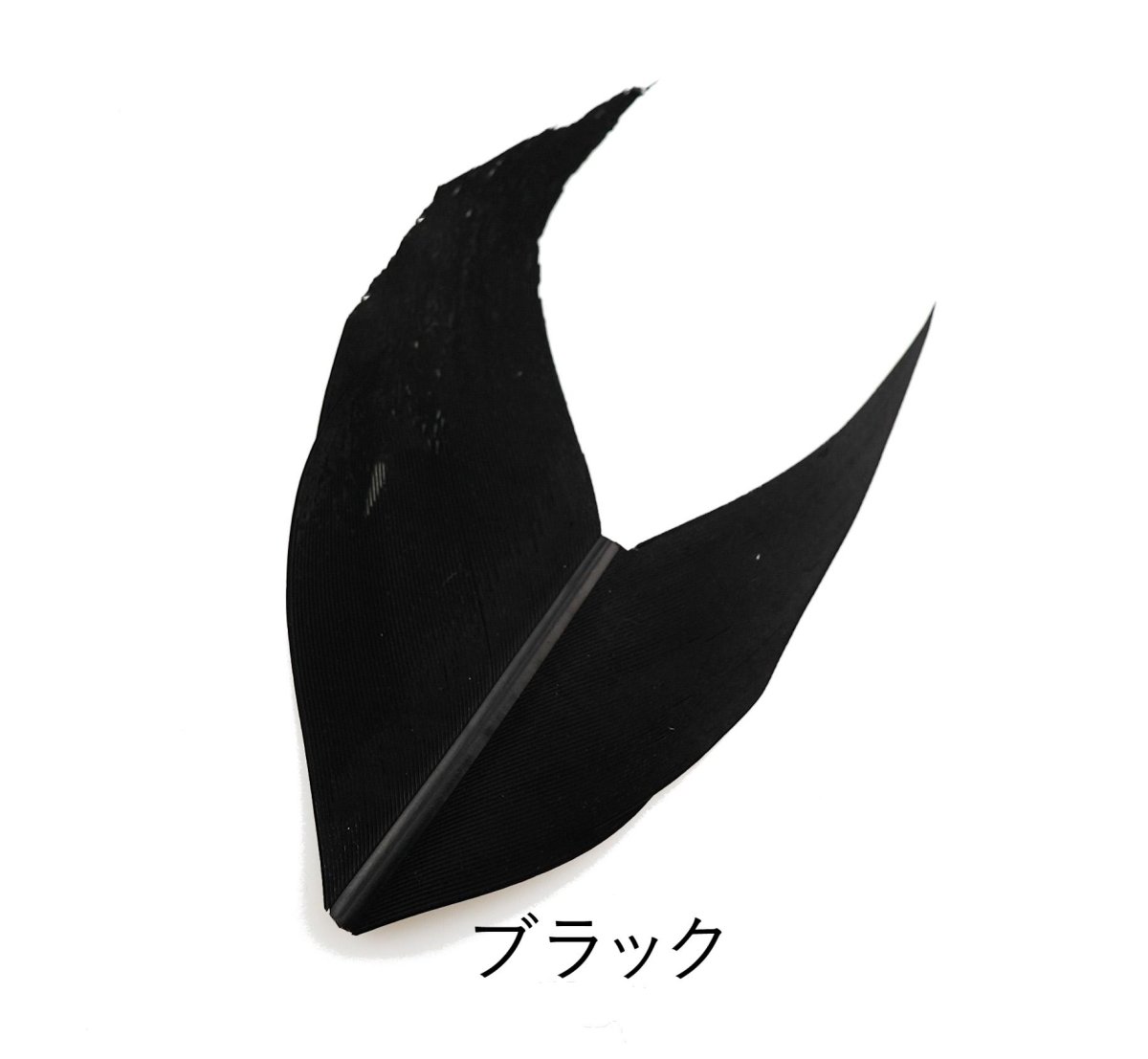 画像8: CANAL キャナル コンドルクイル Condor Quill (8)