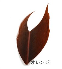 画像4: CANAL キャナル コンドルクイル　Condor Quill (4)