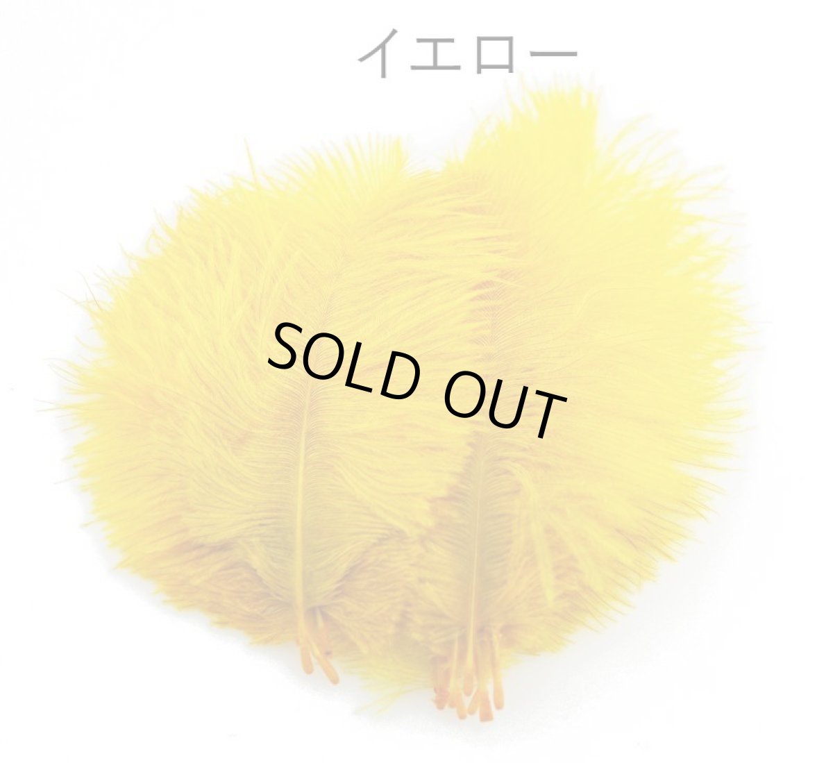 画像5: CANAL  キャナル　SPEY PLUMES スペイプリムス (5)