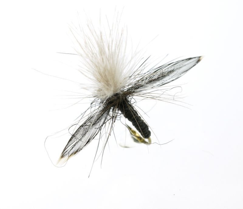 渋谷直人 べんじょ☆アブ - 鱒夢