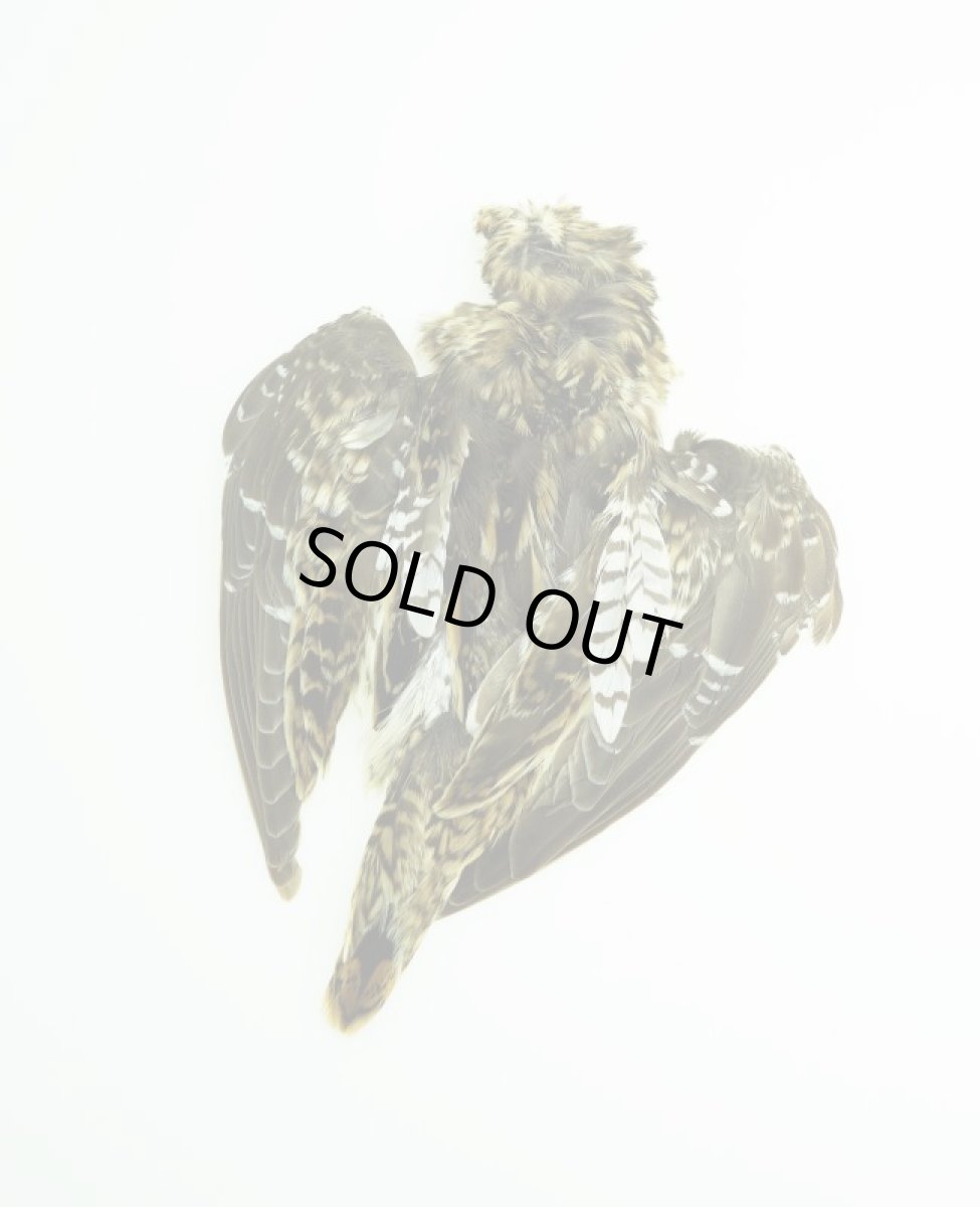 画像2: CANAL  キャナル　ペインテッドスナイプ　コンプリートスキン 　CANAL PAINTED SNIPE COMPLETE SKIN (2)