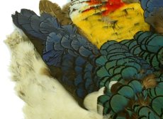 画像3: CANAL  キャナル  AMHERST PHEASANT COMPLETE SKIN｜アムハーストフェザント コンプリート (3)