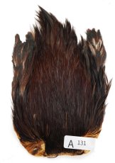 画像28: インドコックケープ India Cock Neck Cape　インディアコックネックケープ　Indian　A101〜A150 (28)