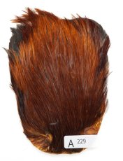 画像19: インドコックケープ India Cock Neck Cape　インディアコックネックケープ　Indian　A201〜A250 (19)