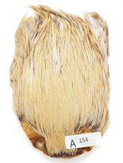 画像2: インドコックケープ India Cock Neck Cape　インディアコックネックケープ　Indian　A151〜A200 (2)