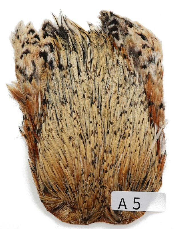 インドコックケープ India Cock Neck Cape インディアコックネック