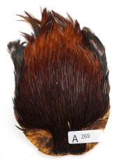 画像14: インドコックケープ India Cock Neck Cape　インディアコックネックケープ　Indian　A251〜A298 (14)