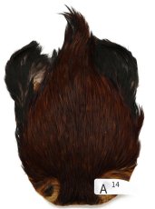 画像6: インドコックケープ India Cock Neck Cape　インディアコックネックケープ　Indian　A1〜A50 (6)