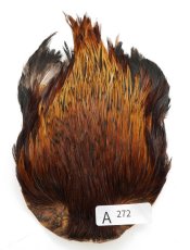 画像17: インドコックケープ India Cock Neck Cape　インディアコックネックケープ　Indian　A251〜A298 (17)