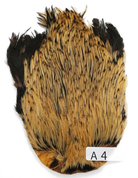 インドコックケープ India Cock Neck Cape インディアコック
