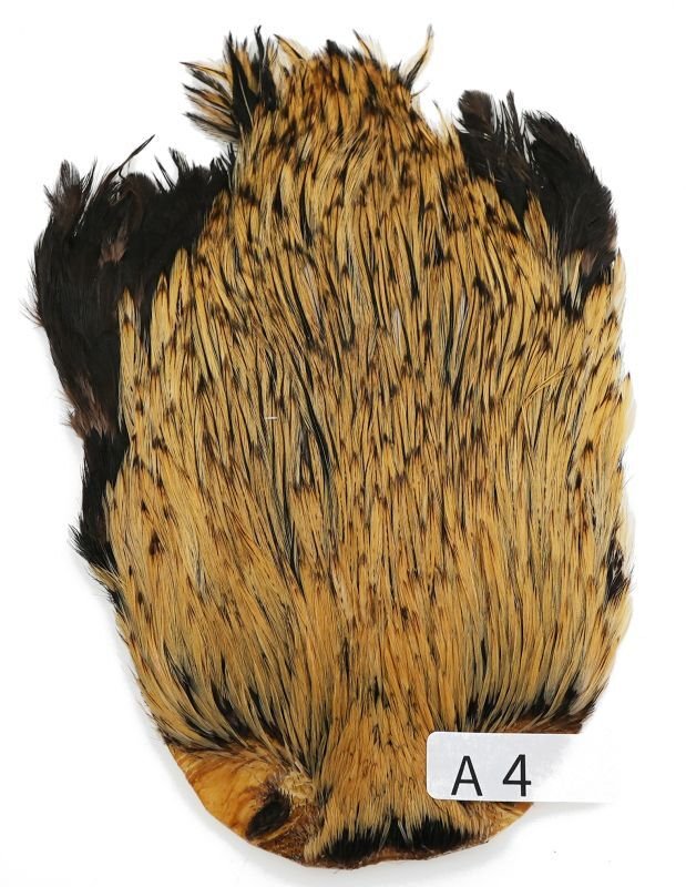 インドコックケープ India Cock Neck Cape インディアコック