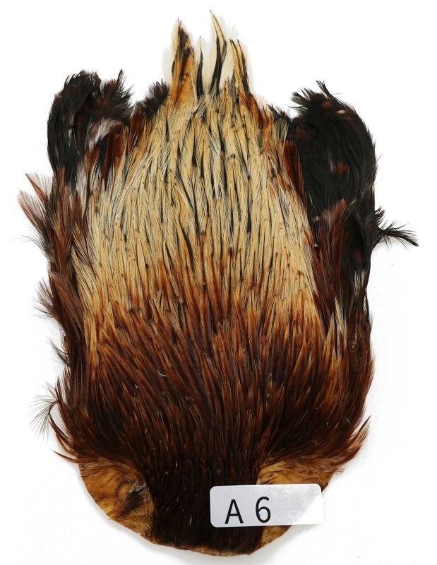 インドコックケープ India Cock Neck Cape インディアコックネック