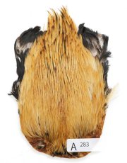 画像26: インドコックケープ India Cock Neck Cape　インディアコックネックケープ　Indian　A251〜A298 (26)