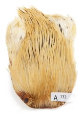 画像29: インドコックケープ India Cock Neck Cape　インディアコックネックケープ　Indian　A101〜A150 (29)