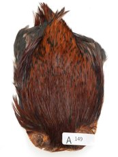 画像40: インドコックケープ India Cock Neck Cape　インディアコックネックケープ　Indian　A101〜A150 (40)