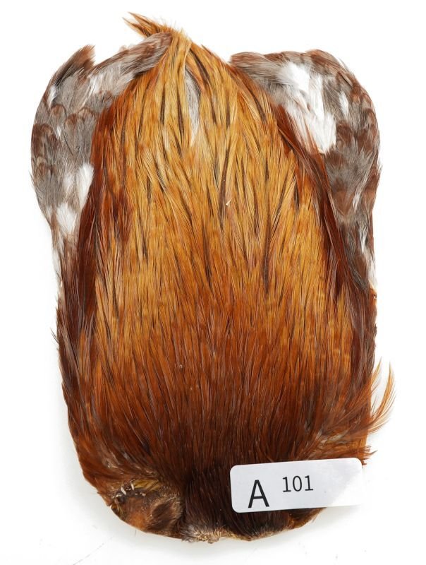 インドコックケープ India Cock Neck Cape インディアコック