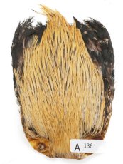 画像33: インドコックケープ India Cock Neck Cape　インディアコックネックケープ　Indian　A101〜A150 (33)