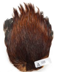 画像5: インドコックケープ India Cock Neck Cape　インディアコックネックケープ　Indian　A101〜A150 (5)