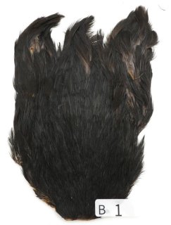 インドコックケープ India Cock Neck Cape インディアコックネック