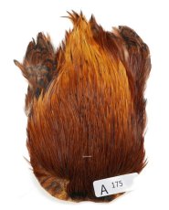 画像22: インドコックケープ India Cock Neck Cape　インディアコックネックケープ　Indian　A151〜A200 (22)