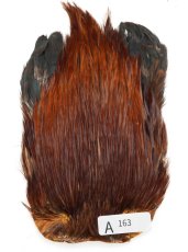 画像10: インドコックケープ India Cock Neck Cape　インディアコックネックケープ　Indian　A151〜A200 (10)