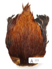 画像11: インドコックケープ India Cock Neck Cape　インディアコックネックケープ　Indian　A101〜A150 (11)